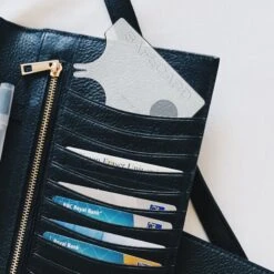 TickCheck Wallet Sized Tick Removal Card -Blue Buffalo Shop 325733 PT6. AC SS1800 V1651557104