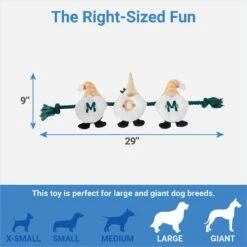 Frisco Mother's Day Gnomes Plush With Rope Squeaky Dog Toy 6 Frisco Mother's Day Gnomes Plush With Rope Squeaky Dog Toy -Blue Buffalo Shop 327037 PT1. AC SS1800 V1647618088