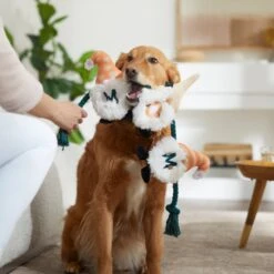 Frisco Mother's Day Gnomes Plush With Rope Squeaky Dog Toy 7 Frisco Mother's Day Gnomes Plush With Rope Squeaky Dog Toy -Blue Buffalo Shop 327037 PT3. AC SS1800 V1646948102