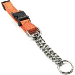 Pet Life Tutor-Sheild Safety & Training Chain Martingale Dog Collar