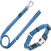 Pet Life Advent Outdoor Series 3M Reflective 2-in-1 Durable Martingale Training Dog Leash & Collar 2 Pet Life Advent Outdoor Series 3M Reflective 2-in-1 Durable Martingale Training Dog Leash & Collar -Blue Buffalo Shop 328248 MAIN. AC SS1800 V1631309800
