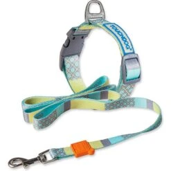 Touchdog Trendzy 2-in-1 Matching Fashion Designer Printed Dog Leash & Collar