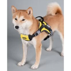 Dog Helios Scorpion Sporty High-Performance Free-Range Dog Harness 12 Dog Helios Scorpion Sporty High-Performance Free-Range Dog Harness -Blue Buffalo Shop 328332 PT4. AC SS1800 V1631311333