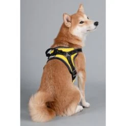 Dog Helios Scorpion Sporty High-Performance Free-Range Dog Harness 13 Dog Helios Scorpion Sporty High-Performance Free-Range Dog Harness -Blue Buffalo Shop 328332 PT5. AC SS1800 V1631311893