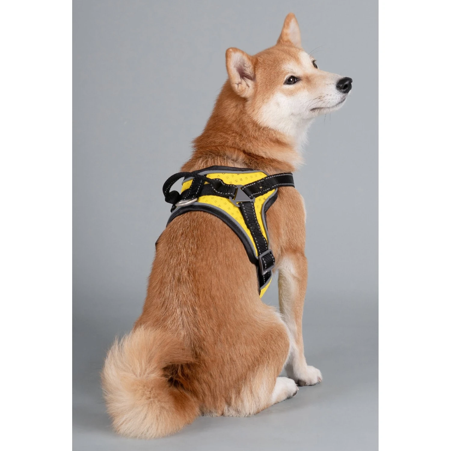 Dog Helios Scorpion Sporty High-Performance Free-Range Dog Harness 8 Dog Helios Scorpion Sporty High-Performance Free-Range Dog Harness - Image 6