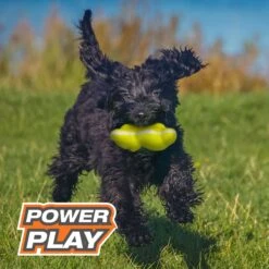 Nylabone Power Play Tennis Teddy Gripz Dog Toy 15 Nylabone Power Play Tennis Teddy Gripz Dog Toy -Blue Buffalo Shop 329495 PT4. AC SS1800 V1685650572