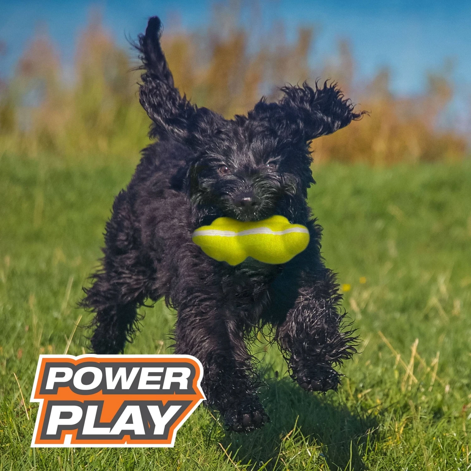 Nylabone Power Play Tennis Teddy Gripz Dog Toy 7 Nylabone Power Play Tennis Teddy Gripz Dog Toy - Image 5