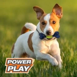 Nylabone Power Play Tennis Play 'n Fetch Interactive Dog Toy -Blue Buffalo Shop 329499 PT4. AC SS1800 V1685647808