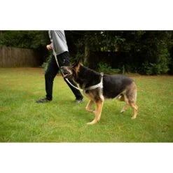 Doggy Tales Realtree Step In V Dog Harness 9 Doggy Tales Realtree Step In V Dog Harness -Blue Buffalo Shop 329767 PT3. AC SS1800 V1633391217