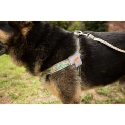 Doggy Tales Realtree Step In V Dog Harness 10 Doggy Tales Realtree Step In V Dog Harness -Blue Buffalo Shop 329767 PT4. AC SS1800 V1633397246