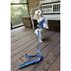 Doggy Tales Patented Realtree Hart Dog Harness -Blue Buffalo Shop 329819 PT3. AC SS1800 V1633396609