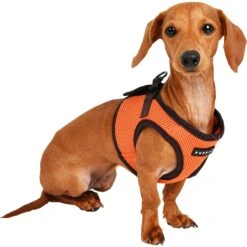 Puppia Soft Vest B Dog Harness 10 Puppia Soft Vest B Dog Harness -Blue Buffalo Shop 329999 PT3. AC SS1800 V1632823298