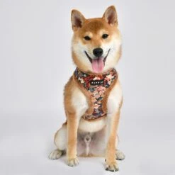 Puppia Gianni A Dog Harness -Blue Buffalo Shop 330170 PT2. AC SS1800 V1632802287