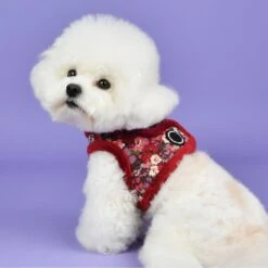 Puppia Gianni B Dog Harness -Blue Buffalo Shop 330190 PT3. AC SS1800 V1632820873