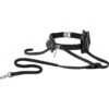Frisco Outdoor Running Belt With Bungee Dog Leash