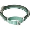 Frisco Outdoor Running Martingale Dog Collar -Blue Buffalo Shop 331413 MAIN. AC SS1800 V1659977325