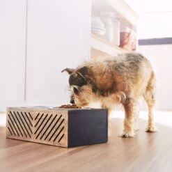 Frisco Premium Wood Elevated Stainless Steel Double Diner Dog & Cat Bowl, Black, 3 Cup 10 Frisco Premium Wood Elevated Stainless Steel Double Diner Dog & Cat Bowl, Black, 3 Cup -Blue Buffalo Shop 331509 PT2. AC SS1800 V1657656894