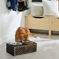 Frisco Premium Wood Elevated Stainless Steel Double Diner Dog & Cat Bowl, Black, 3 Cup 11 Frisco Premium Wood Elevated Stainless Steel Double Diner Dog & Cat Bowl, Black, 3 Cup -Blue Buffalo Shop 331509 PT3. AC SS1800 V1657656894