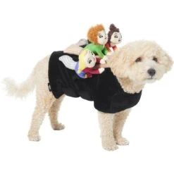 Disney Hocus Pocus Ride-On Sanderson Sisters Dog & Cat Costume