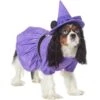 Disney Minnie Mouse Witch Dog & Cat Costume -Blue Buffalo Shop 334755 MAIN. AC SS1800 V1657656878