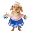 Frisco Front Walking Cheerleader Dog & Cat Costume 1 Frisco Front Walking Cheerleader Dog & Cat Costume -Blue Buffalo Shop 334854 MAIN. AC SS1800 V1658368124