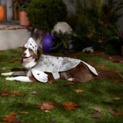 Frisco Seal Dog & Cat Costume 14 Frisco Seal Dog & Cat Costume -Blue Buffalo Shop 334983 PT7. AC SS1800 V1657730462