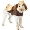 Frisco Owl Dog & Cat Costume 2 Frisco Owl Dog & Cat Costume -Blue Buffalo Shop 335055 MAIN. AC SS1800 V1658717776
