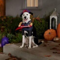 Frisco Front Walking Punk Rocker Dog & Cat Costume 16 Frisco Front Walking Punk Rocker Dog & Cat Costume -Blue Buffalo Shop 335087 PT7. AC SS1800 V1657732627