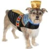 Frisco Royal Pharoah Dog & Cat Costume -Blue Buffalo Shop 335114 MAIN. AC SS1800 V1658346560