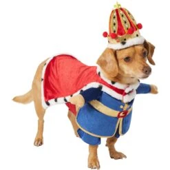 Frisco Front Walking Royal King Dog & Cat Costume -Blue Buffalo Shop 335127 PT3. AC SS1800 V1658346228