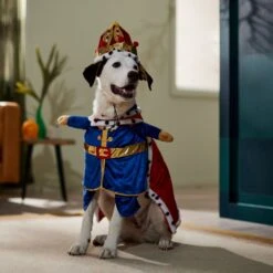 Frisco Front Walking Royal King Dog & Cat Costume -Blue Buffalo Shop 335127 PT7. AC SS1800 V1659037728