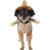 Frisco Front Walking Scarecrow Dog & Cat Costume 1 Frisco Front Walking Scarecrow Dog & Cat Costume -Blue Buffalo Shop 335135 MAIN. AC SS1800 V1658349298