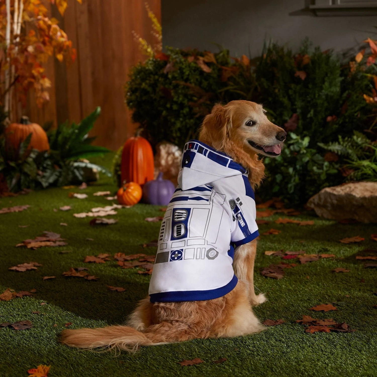 STAR WARS R2-D2 Dog & Cat Hoodie 7 STAR WARS R2-D2 Dog & Cat Hoodie - Image 5