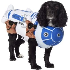 STAR WARS R2-D2 & Jawas Dog & Cat Costume
