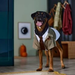 Marvel 's Loki Varient Lightweight Dog & Cat Jacket 13 Marvel 's Loki Varient Lightweight Dog & Cat Jacket -Blue Buffalo Shop 335269 PT8. AC SS1800 V1657656950