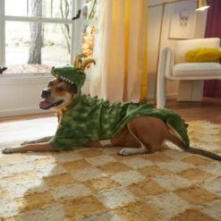 Marvel 's Loki Alligator Dog & Cat Costume 13 Marvel 's Loki Alligator Dog & Cat Costume -Blue Buffalo Shop 335282 PT8. AC SS1800 V1660059836
