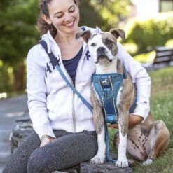 Kurgo Tru-Fit Quick Release & Seatbelt Tether Smart Dog Harness -Blue Buffalo Shop 336383 PT3. AC SS1800 V1634152311