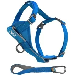 Kurgo Tru-Fit Quick Release & Seatbelt Tether Smart Dog Harness -Blue Buffalo Shop 336383 PT7. AC SS1800 V1634151998