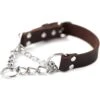 Mighty Paw Leather Martingale Dog Collar