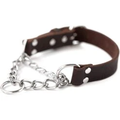 Mighty Paw Leather Martingale Dog Collar