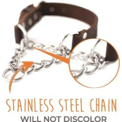 Mighty Paw Leather Martingale Dog Collar 7 Mighty Paw Leather Martingale Dog Collar -Blue Buffalo Shop 338556 PT2. AC SS1800 V1636475523