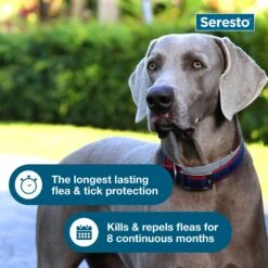 Seresto Flea & Tick Collar For Dogs, Over 18 Lbs & Seresto Flea & Tick Collar For Dogs, Up To 18 Lbs -Blue Buffalo Shop 338816 PT6. AC SS1800 V1661271865