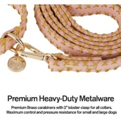 Scotch & Co Pink/Gold Handcrafted Dog Leash 13 Scotch & Co Pink/Gold Handcrafted Dog Leash -Blue Buffalo Shop 341920 PT3. AC SS1800 V1641424671
