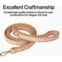 Scotch & Co Pink/Gold Handcrafted Dog Leash 14 Scotch & Co Pink/Gold Handcrafted Dog Leash -Blue Buffalo Shop 341920 PT4. AC SS1800 V1641442929