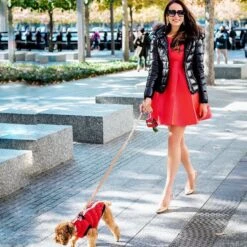 Scotch & Co Pink/Gold Handcrafted Dog Leash 15 Scotch & Co Pink/Gold Handcrafted Dog Leash -Blue Buffalo Shop 341920 PT5. AC SS1800 V1641444141