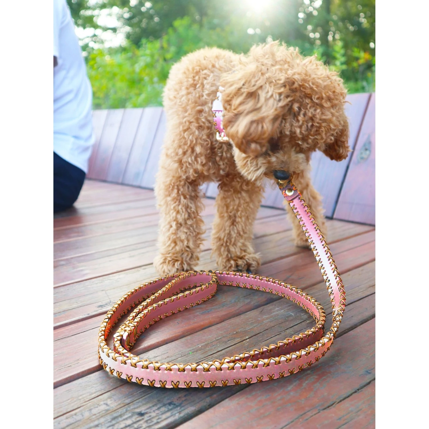 Scotch & Co Pink/Gold Handcrafted Dog Leash 9 Scotch & Co Pink/Gold Handcrafted Dog Leash - Image 7