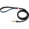 Scotch & Co The Daisy Handcrafted Dog Leash 2 Scotch & Co The Daisy Handcrafted Dog Leash -Blue Buffalo Shop 341926 MAIN. AC SS1800 V1641399398
