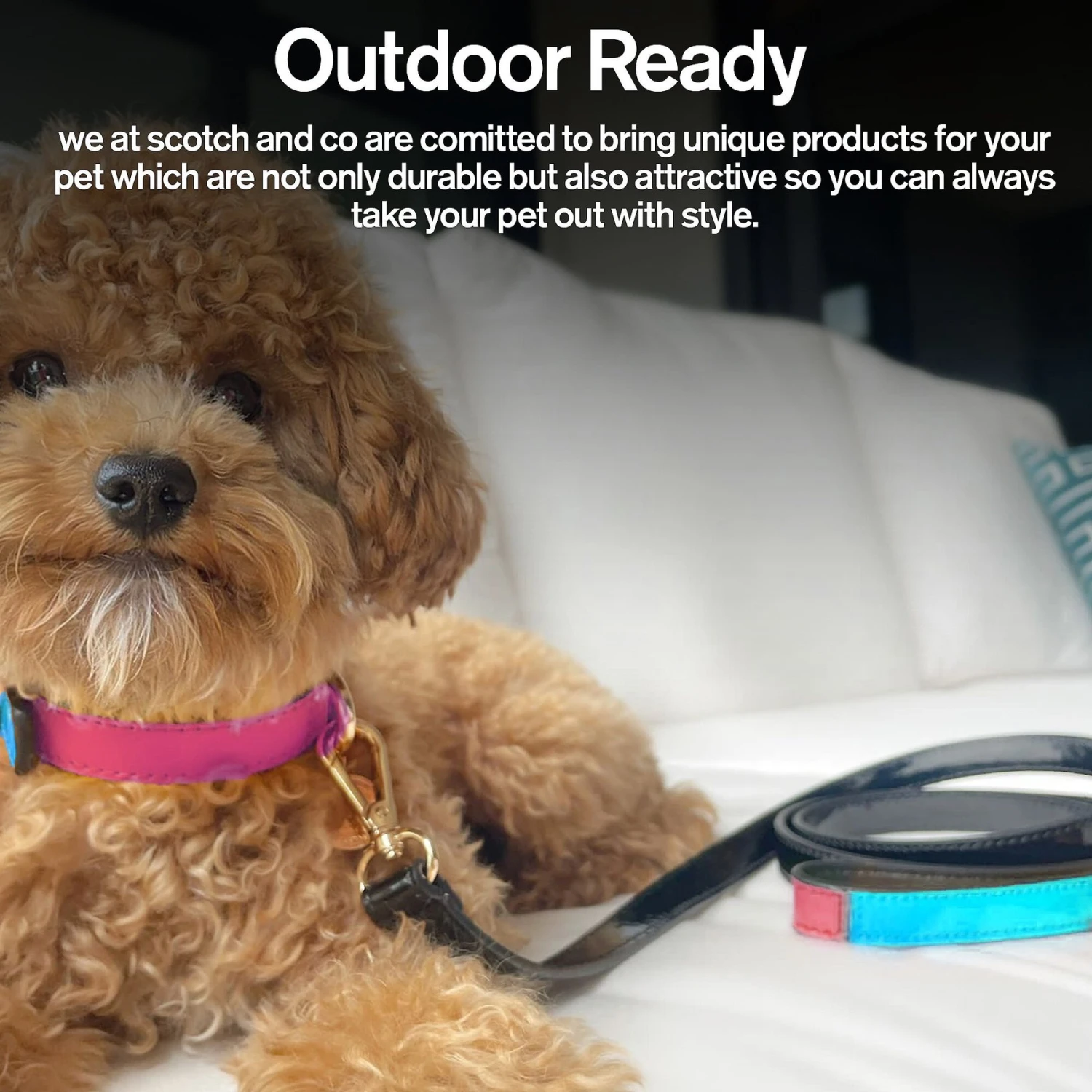 Scotch & Co Teal/Pink Handcrafted Dog Leash 8 Scotch & Co Teal/Pink Handcrafted Dog Leash - Image 6