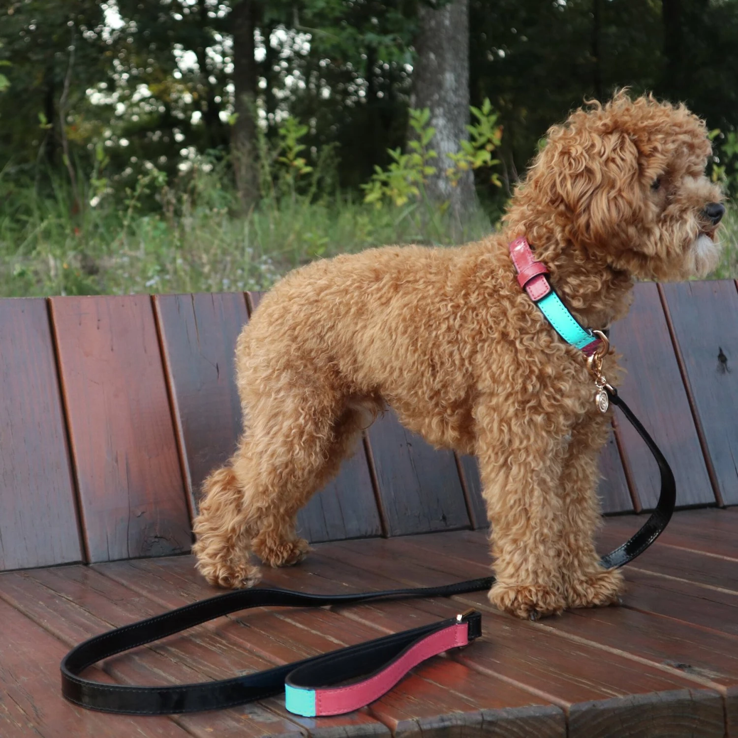 Scotch & Co Teal/Pink Handcrafted Dog Leash 10 Scotch & Co Teal/Pink Handcrafted Dog Leash - Image 8