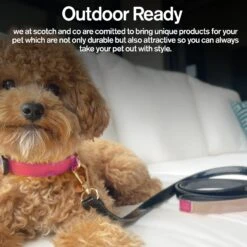 Scotch & Co Pink/Tan Handcrafted Dog Leash 13 Scotch & Co Pink/Tan Handcrafted Dog Leash -Blue Buffalo Shop 341930 PT4. AC SS1800 V1641421652